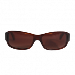 Chrome Hearts Fix II ALBR Brown/Beige Glasses
