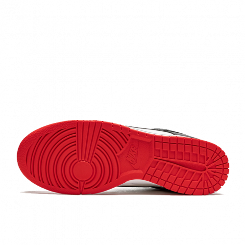 Nike Dunk Low EMB NBA 75th Anniversary Chicago