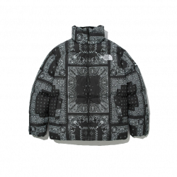 The North Face Novelty Lofty Down Jacket Black