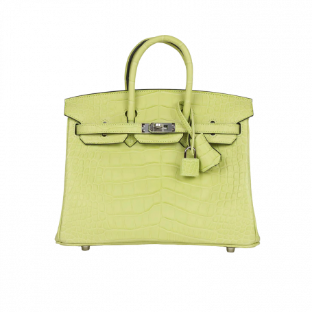 Hermès Birkin 25 Jaune Bourgeon Matte Alligator Palladium Hardware