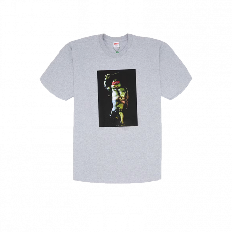 Футболка Supreme Raphael Tee Heather Grey
