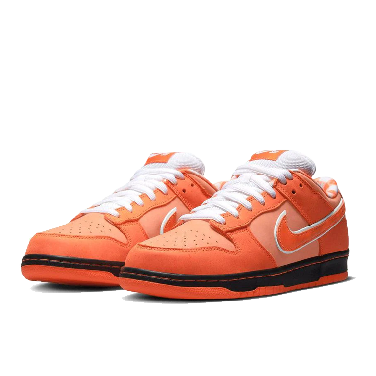 Кроссовки Nike SB Dunk Low Concepts Orange Lobster (Special Box)